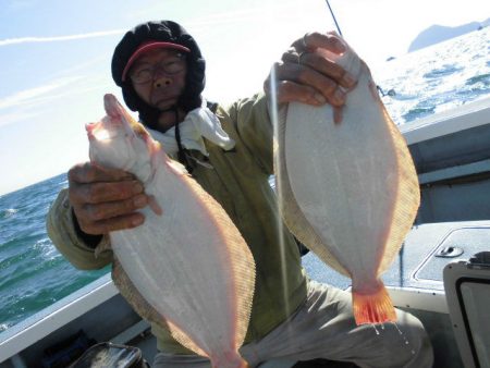 大進丸（愛知） 釣果