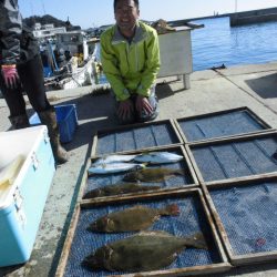 大進丸（愛知） 釣果