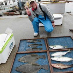 大進丸（愛知） 釣果