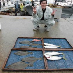 大進丸（愛知） 釣果