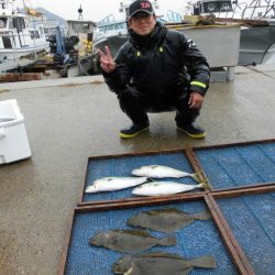 大進丸（愛知） 釣果