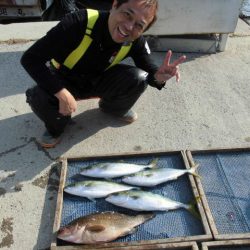 大進丸（愛知） 釣果