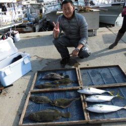 大進丸（愛知） 釣果