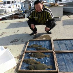 大進丸（愛知） 釣果