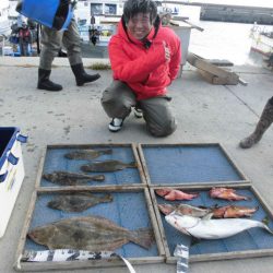 大進丸（愛知） 釣果