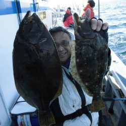 大進丸（愛知） 釣果