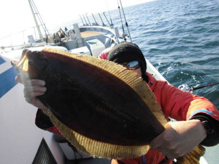 大進丸（愛知） 釣果