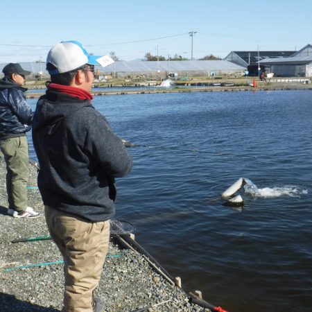 浜名湖フィッシングリゾート 釣果