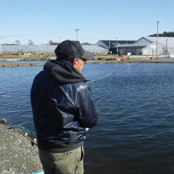 浜名湖フィッシングリゾート 釣果