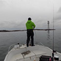 フィッシングボート空風（そらかぜ） 釣果