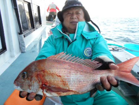 大進丸（愛知） 釣果