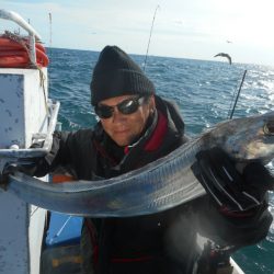 大進丸（愛知） 釣果