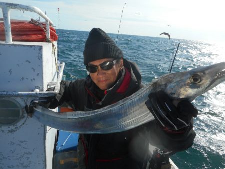 大進丸（愛知） 釣果