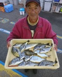 和歌山マリーナシティ釣り公園 釣果