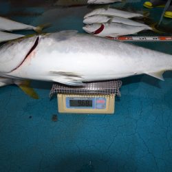 アジアマリンサービス 釣果