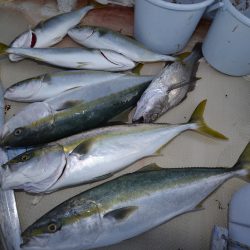 アジアマリンサービス 釣果