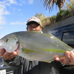 海正丸 釣果