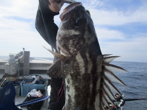 兼六丸 釣果