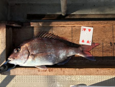 白墨丸 釣果