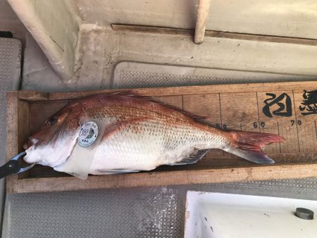 白墨丸 釣果