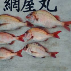 網屋丸 釣果