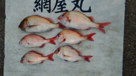 網屋丸 釣果