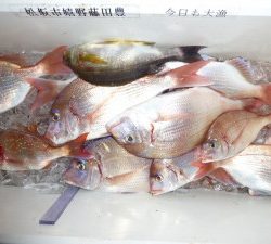 功成丸 釣果