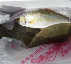 功成丸 釣果