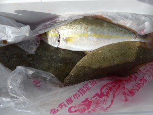 功成丸 釣果