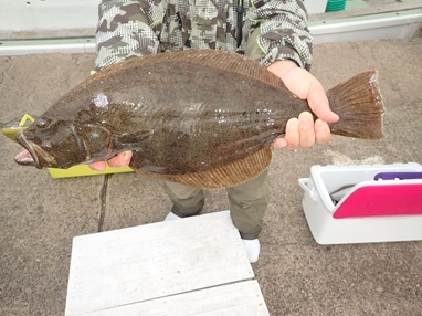 第一進丸 釣果