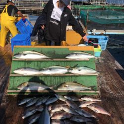 みうら海王 釣果