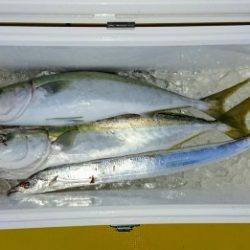 火遠理丸（ほおりまる） 釣果