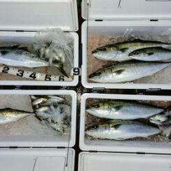 火遠理丸（ほおりまる） 釣果