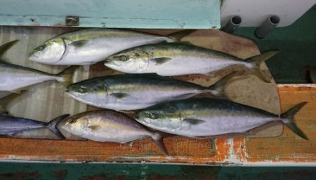 火遠理丸（ほおりまる） 釣果