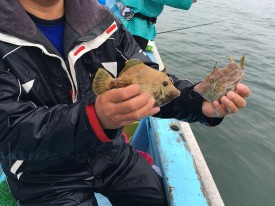 おざき丸 釣果