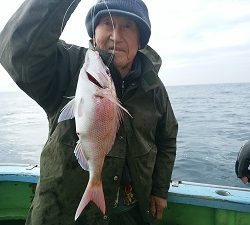 利八丸 釣果