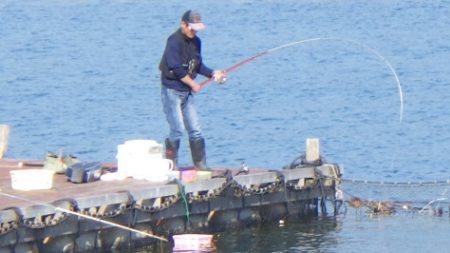 淡路じゃのひれフィッシングパーク 釣果