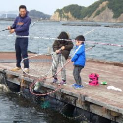 淡路じゃのひれフィッシングパーク 釣果