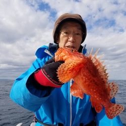 しまや丸 釣果