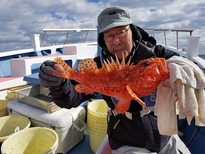 しまや丸 釣果