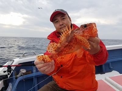 しまや丸 釣果