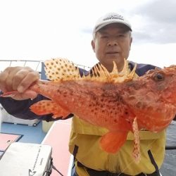 しまや丸 釣果