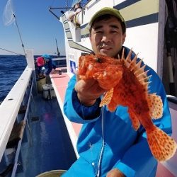 しまや丸 釣果