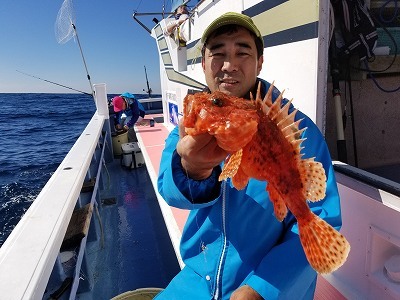 しまや丸 釣果