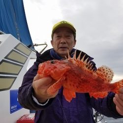 しまや丸 釣果