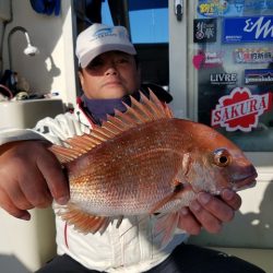 遊漁船　ニライカナイ 釣果