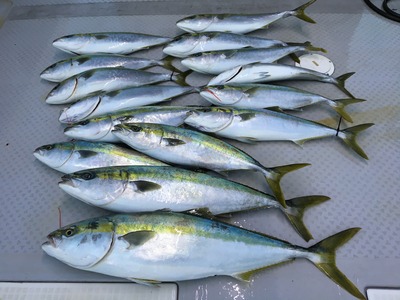 ミタチ丸 釣果