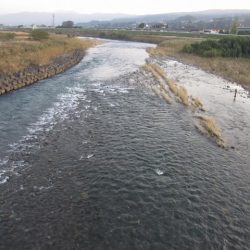 狩野川（狩野川漁業協同組合） 釣果