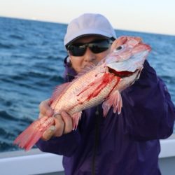 へいみつ丸 釣果