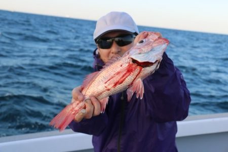 へいみつ丸 釣果